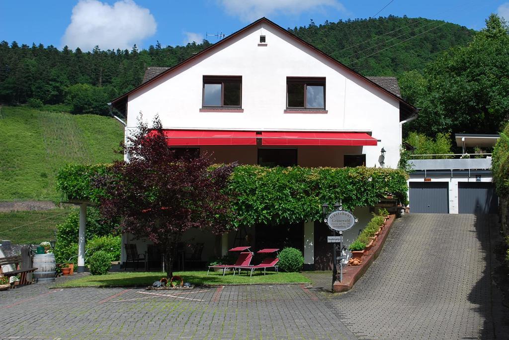 Hotel Haus Gruenewald Zell an der Mosel Exteriér fotografie